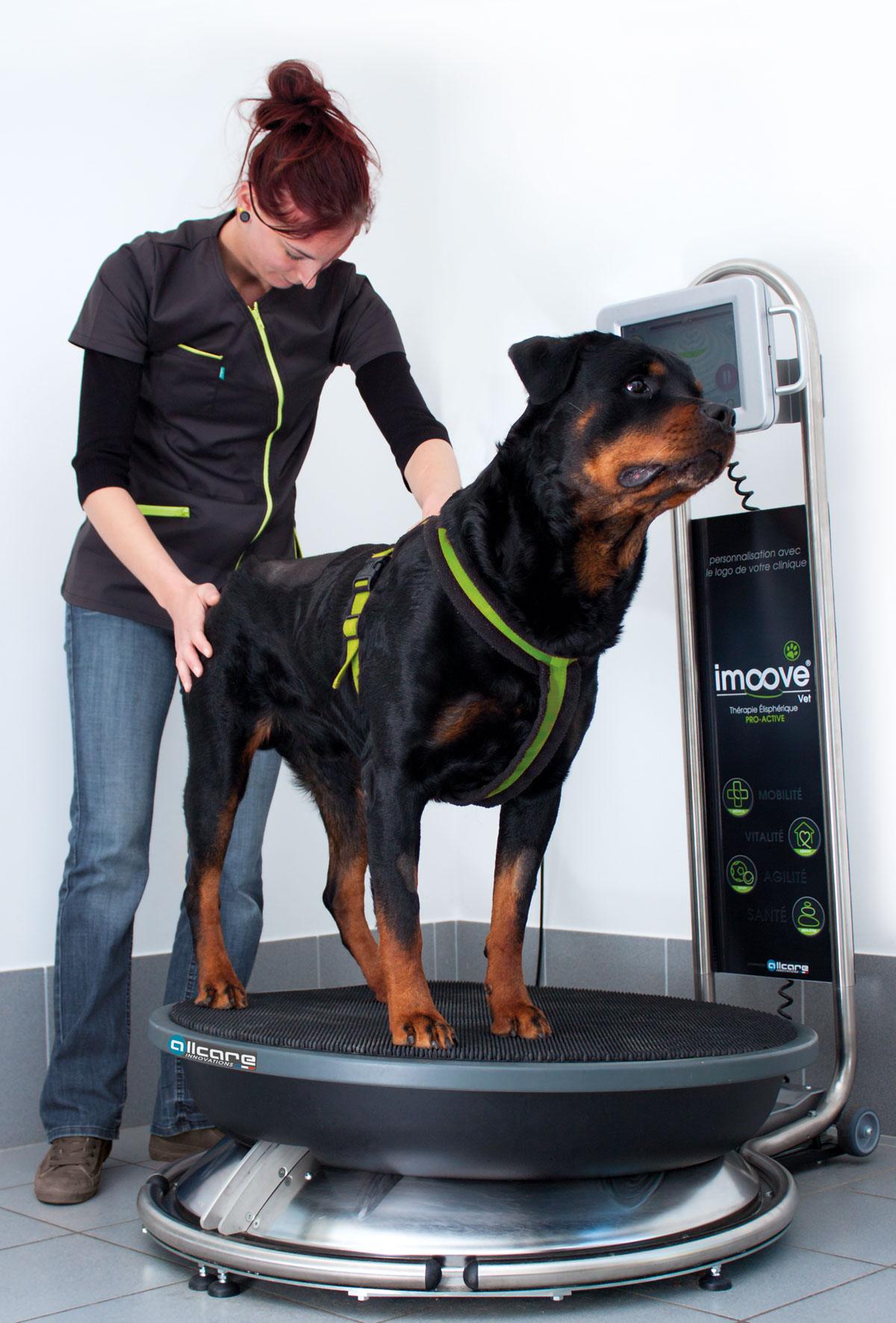 IMoove VET Rottweiler